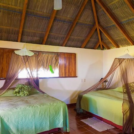 The Resort At Majahua Palms Troncones Exterior foto